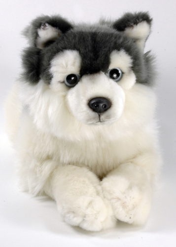 Husky liegend 38 cm